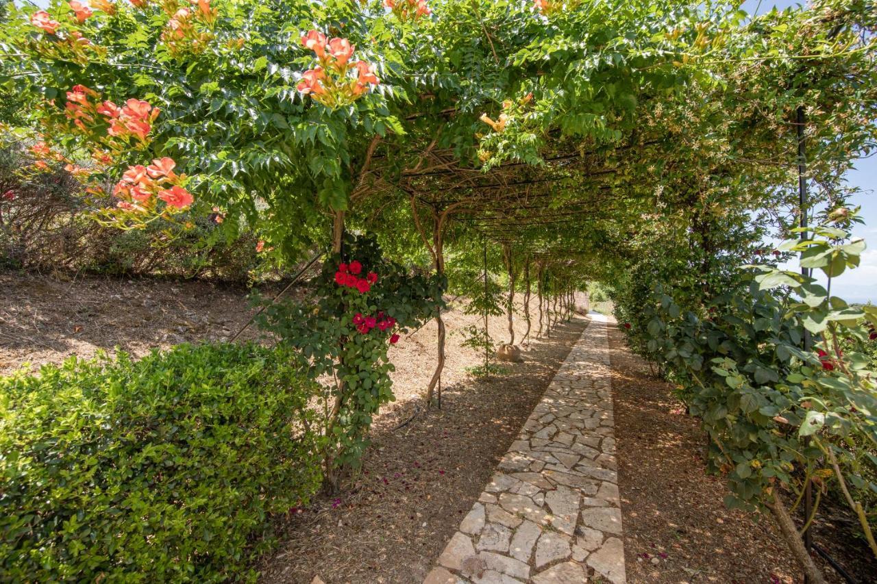 Agallis Corfu Residence Sokrákion Dış mekan fotoğraf
