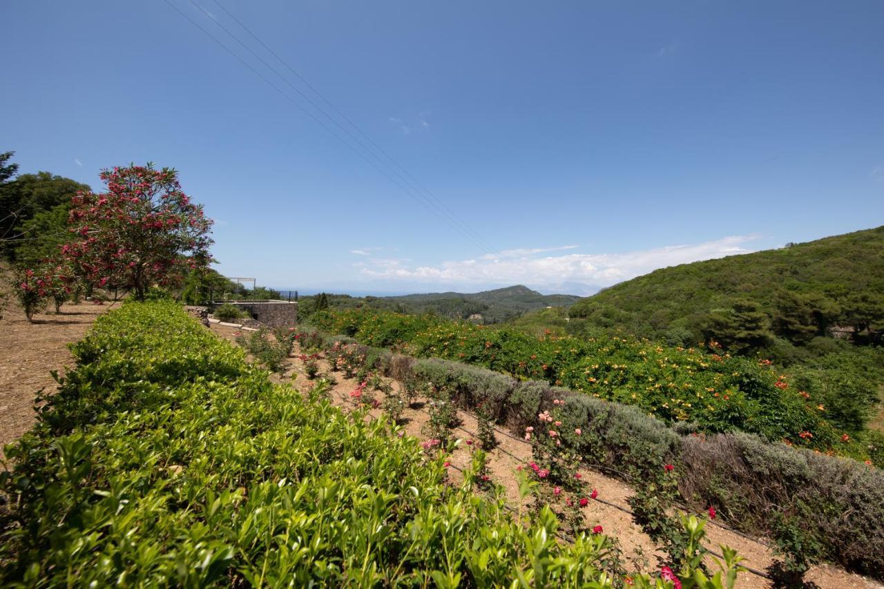 Agallis Corfu Residence Sokrákion Dış mekan fotoğraf